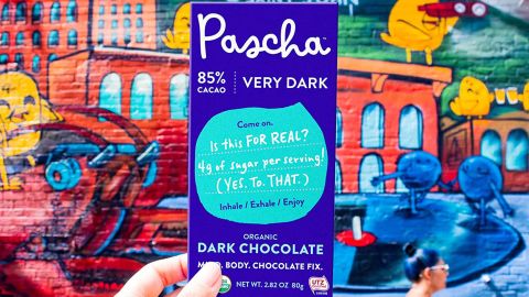 Pascha Organic Dark Chocolate Bars, 10-Pack